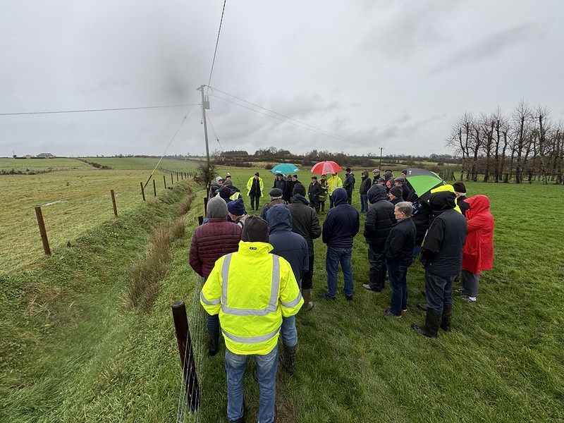 Group gather by fenced drain.