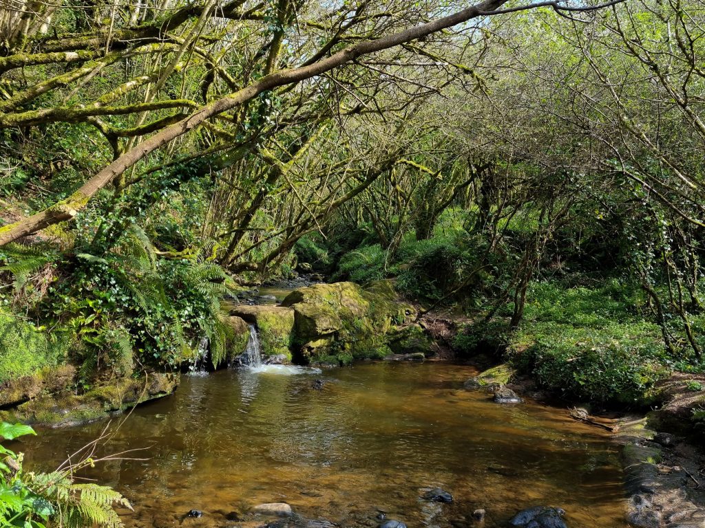 Loobagh Catchment
