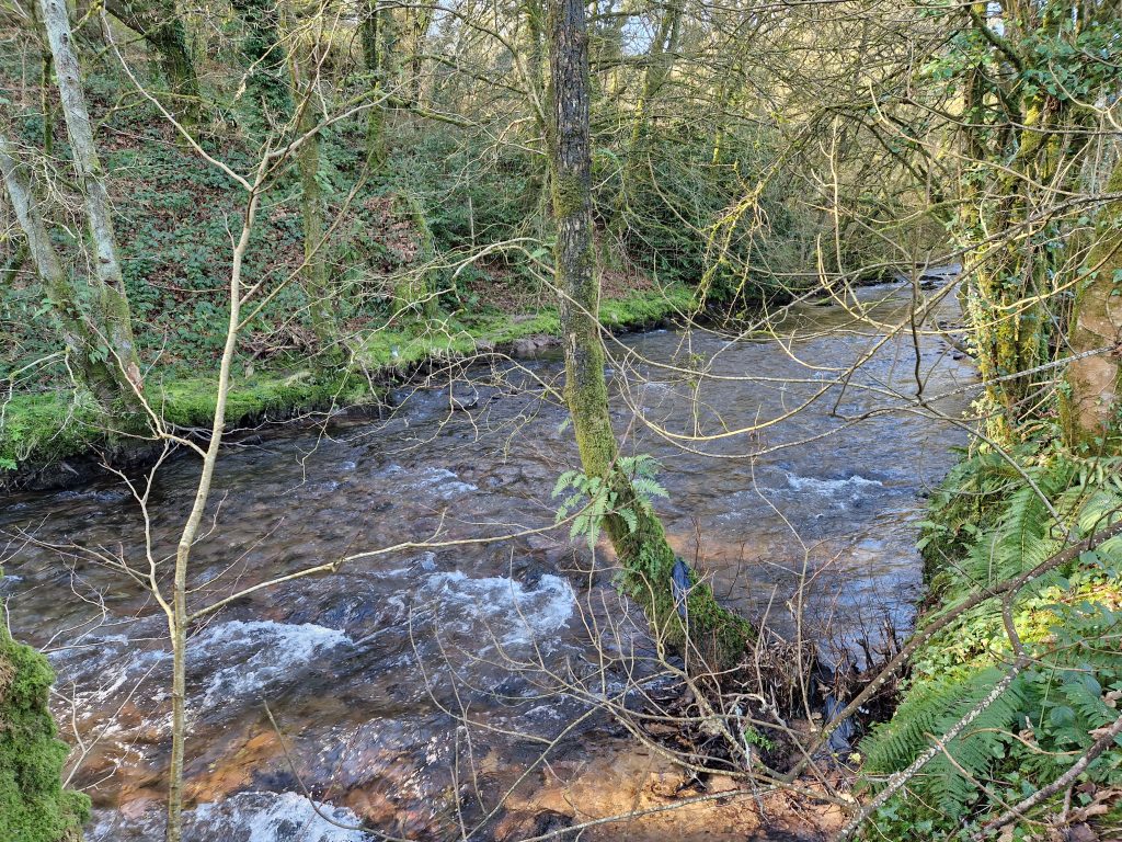 Shournagh River