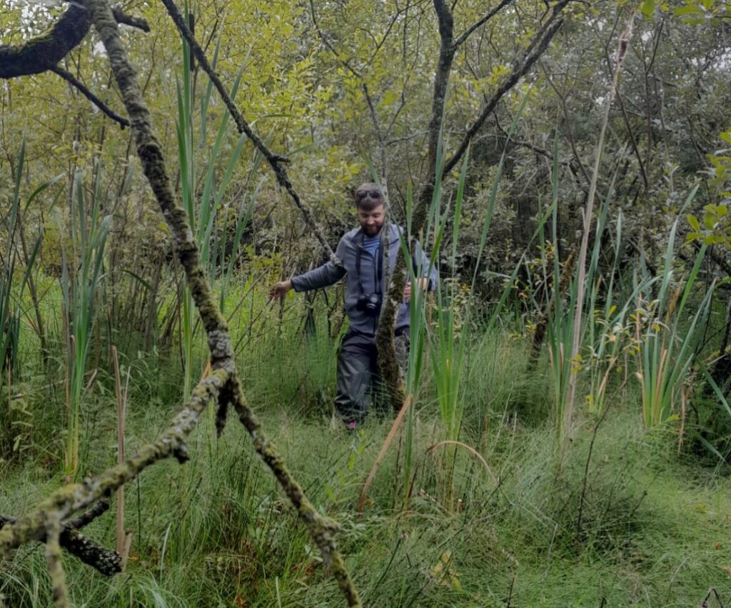 Lough Muckno Woodland