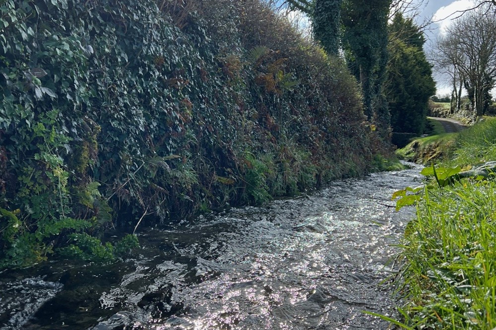 A picture of a stream in the Graney catchment, taken March 2024.