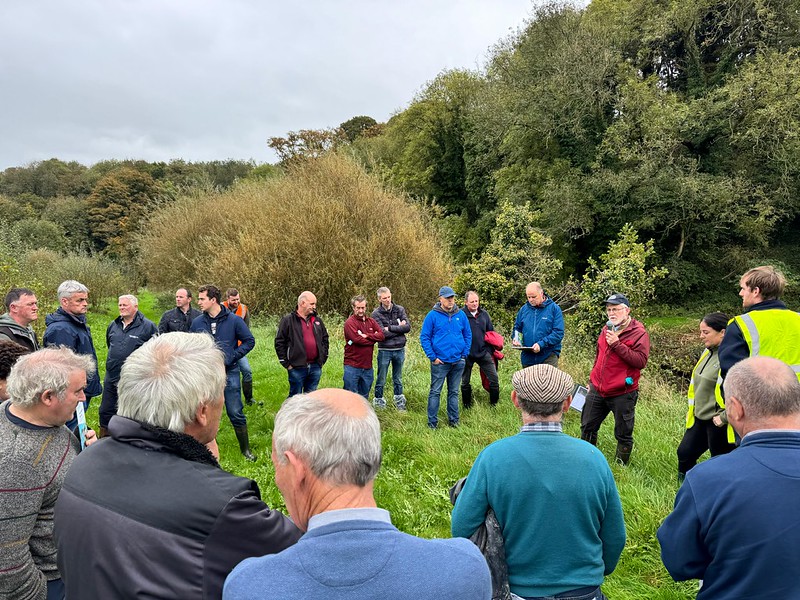 Outdoor group discussion in woodland